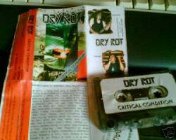 Dryrot : Critical Condition